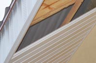 rated Bracebridge Heath soffit repair companies